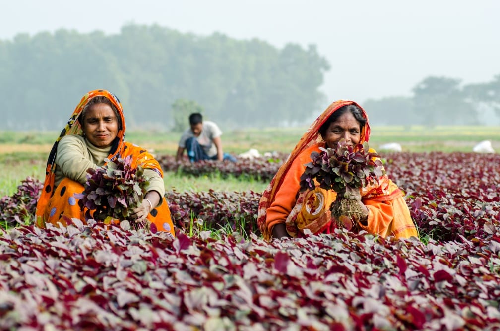 50 Women Graduate from Sustainable Farming Program